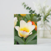 Tulip Postkarte (Stehend Vorderseite)