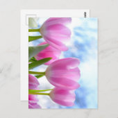 Tulip Postkarte (Vorne/Hinten)