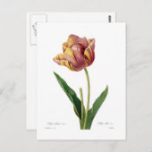 Tulip Postkarte (Vorne/Hinten)