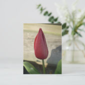Tulip Postkarte (Stehend Vorderseite)