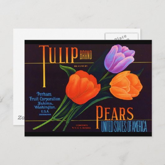 Tulip Postkarte (Vorne/Hinten)