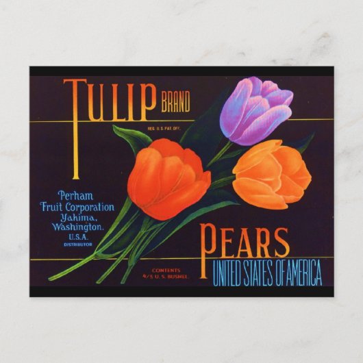 Tulip Postkarte (Vorderseite)