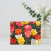 Tulip Postkarte (Stehend Vorderseite)