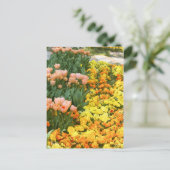 Tulip [Postkarte] Postkarte (Stehend Vorderseite)