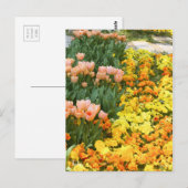Tulip [Postkarte] Postkarte (Vorne/Hinten)