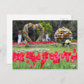 Tulip [Postkarte] Postkarte (Vorne/Hinten)