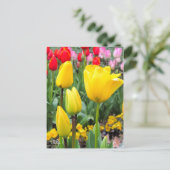 Tulip [Postkarte] Postkarte (Stehend Vorderseite)