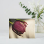 Tulip (Postkarte) Postkarte (Stehend Vorderseite)