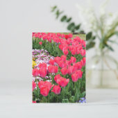 Tulip [Postkarte] Postkarte (Stehend Vorderseite)