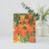 Tulip [Postkarte] Postkarte (Stehend Vorderseite)