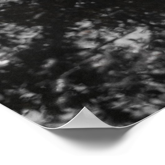 Tulip Reflections Poster (Ecke)