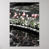 Tulip Reflections Poster (Vorne)