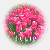 Tulip Runder Aufkleber (Vorderseite)
