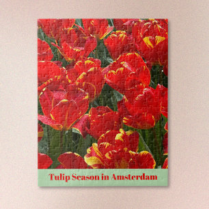 Tulip-Saison in Amsterdam Puzzle