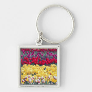 Tulip-Schau-Garten im Skagit-Tal, Schlüsselanhänger
