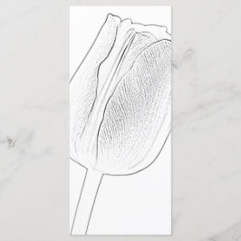Tulip Sketch Frühjahrsprogramm Programm