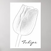 Tulip Sketch Poster (Vorne)