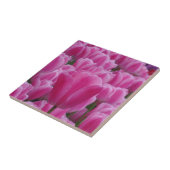 Tulip Small (4,25" x 4,25") Keramik Foto Tile Fliese (Seite)
