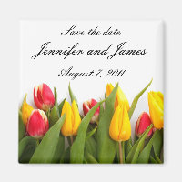 Tulip Speichern des Datumsfensters