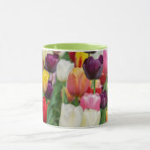 Tulip Spring Flowers Garden Floral Yellow Pink Red Tasse (Zentrum)