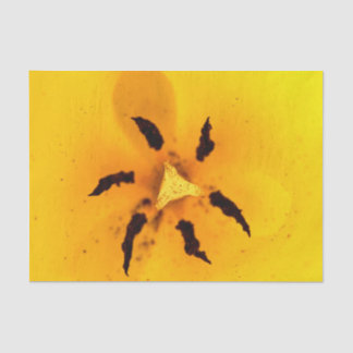 Tulip stamen and pollen seidenpapier