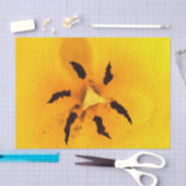 Tulip stamen and pollen seidenpapier (Handwerk)