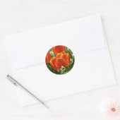 Tulip Sticker (Umschlag)