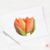 Tulip Stickers (Umschlag)