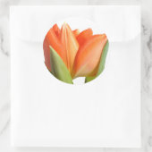 Tulip Stickers (Tasche)