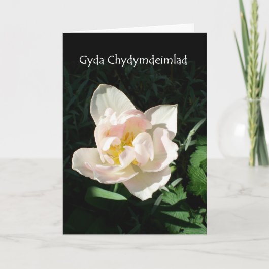 'Tulip' Sympathy Card - Walisische Gruß Karte (Vorderseite)