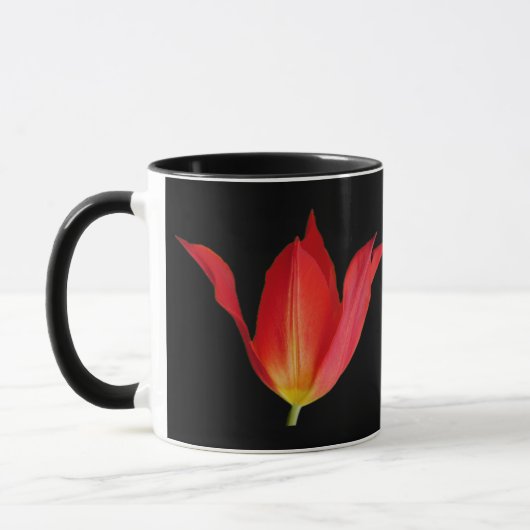 Tulip Tasse (Links)