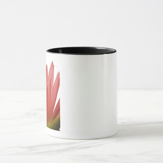Tulip Tasse (Zentrum)