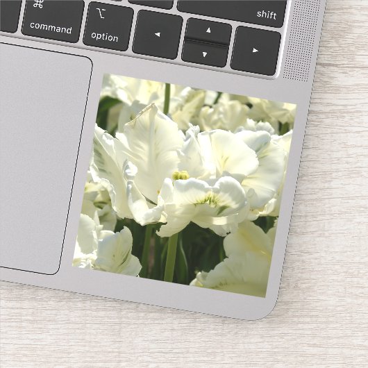 Tulip the white aufkleber (Detail)