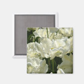 Tulip the white magnet (Vorderseite/Rückseite)