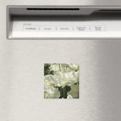 Tulip the white magnet (In Situ (Geschirrspüler))