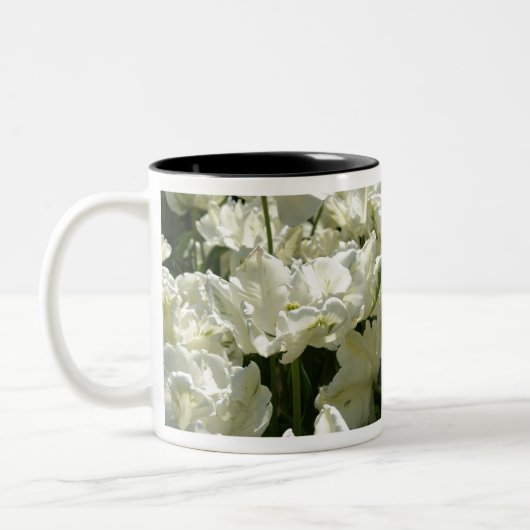 Tulip the white zweifarbige tasse (Links)