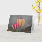 Tulip Time Note Card Karte (Gelbe Blume)