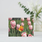 Tulip Treasure Postkarte (Stehend Vorderseite)