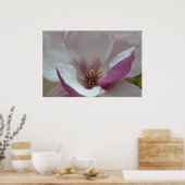 Tulip Tree Blume Poster (Küche)