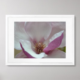 Tulip Tree Blume Poster