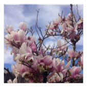 Tulip Tree Blume Poster (Vorderseite)