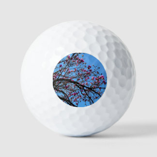 Tulip Tree in Bloom Golfball