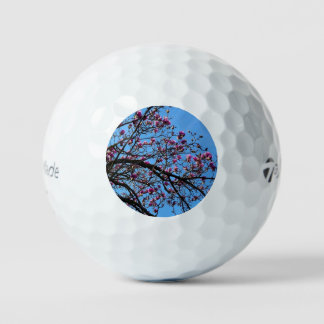 Tulip Tree in Bloom Golfball