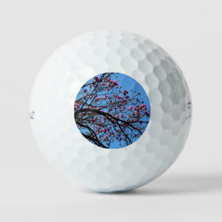 Tulip Tree in Bloom Golfball