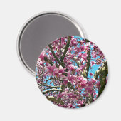 Tulip Tree Magnet (Vorderseite/Rückseite)