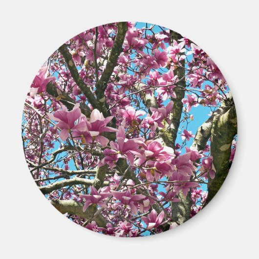 Tulip Tree Magnet (Vorne)
