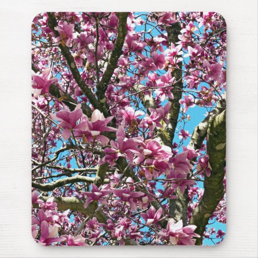 Tulip Tree Mousepad (Vorne)