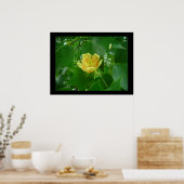 Tulip Tree Poster (Küche)