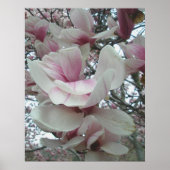 Tulip Tree Poster (Vorne)