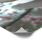 Tulip Tree Poster (Ecke)